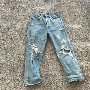 Agolde 90s jean 24